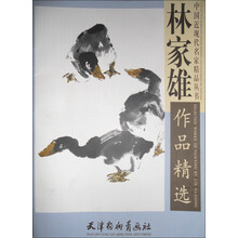 林家雄作品精选