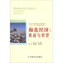 棉花经济:挑战与转型
