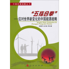 中国发展战略丛书·“五指合拳”：应对世界新变化的中国能源战略