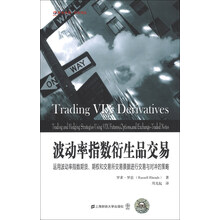 波动率指数衍生品交易-运用波动率指数期货.期权和交易所交易票据进行交易与对冲的策略