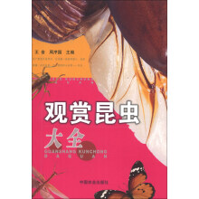 观赏昆虫大全