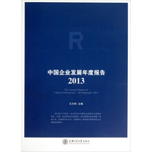 2013-中国企业发展年度报告