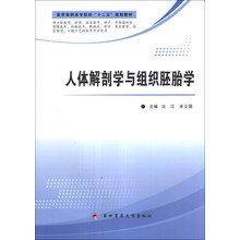 人体解剖学与组织胚胎学