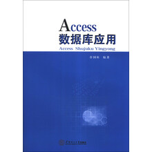 Access数据库应用