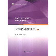 大学基础物理学(下卓越工程技术人才培养特色教材)