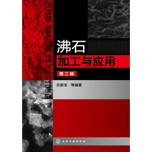 沸石加工与应用(第2版)