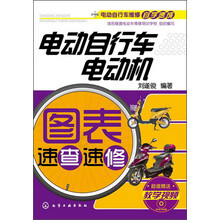 电动自行车维修自学速成：电动自行车电动机图表速查速修
