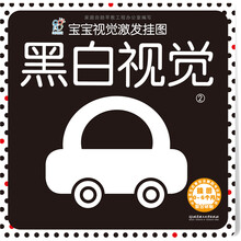 宝宝视觉激发挂图：黑白视觉2