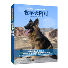 牧羊犬阿可-沈石溪主编.世界精品动物小说馆