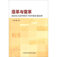 沿革与变革-政治权力运作体系下的中国乡镇治理