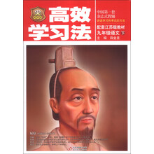 金星教育·高效学习法：9年级语文（下）（配套江苏版教材）