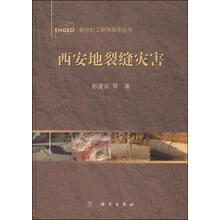 西安地裂缝灾害(预订中,估价)