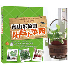 南山东菊的阳台小菜园