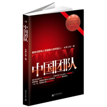 《中国团队》：中美商业高手对决。跨国企业职场生存实战小说。成不了“中国合伙人”，你也可以加入“中国团队”！