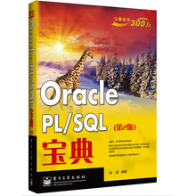 Oracle PL/SQL宝典（第2版）