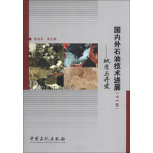 国内外石油技术进展(十一五)-地质与开发
