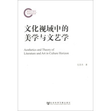 文化视域中的美学与文艺学