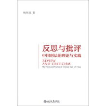 反思与批评——中国刑法的理论与实践