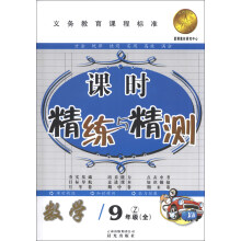 课时精练与精测:数学(9年级全)(Z)