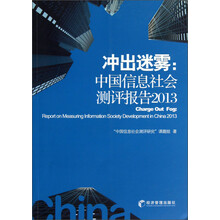冲出迷雾:中国信息社会测评报告2013