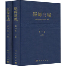 偃师商城(第1卷)(套装共2册)