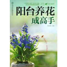 阳台养花成高手