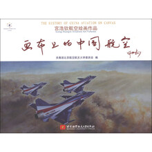 画布上的中国航空-宫浩钦航空绘画作品