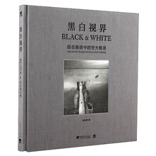 黑白视界-段岳衡眼中的安大略湖