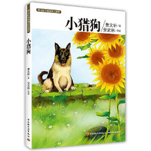 小猎狗－曹文轩小说阅读与鉴赏