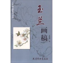 玉兰画稿
