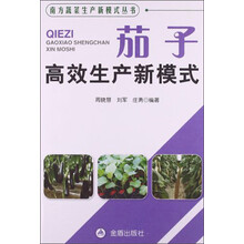 茄子高效生产新模式