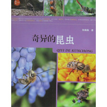 奇异的昆虫