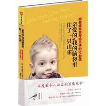 亲爱的，我的脑袋里住了一只山雀：抑郁症爸爸写给儿子的51封信