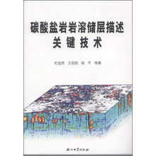 碳酸盐岩岩溶储层描述关键技术