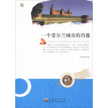 一个爱尔兰城市的肖像