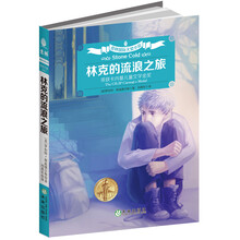 林克的流浪之旅