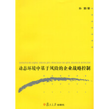 动态环境中基于风险的企业战略控制