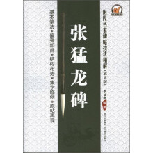 历代名家碑帖技法精解：张猛龙碑（放大版）