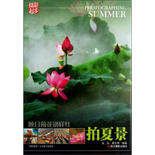 映日荷花别样红：拍夏景
