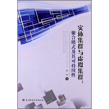 实体集群与虚拟集群：聚合模式及其可持续性