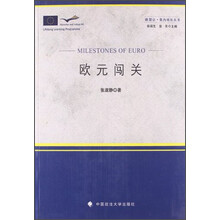 欧盟让·莫内项目丛书：欧元闯关