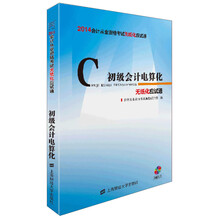 初级会计电算化-2014年会计从业资格考试无纸化应试通-附赠光盘