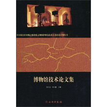博物馆技术论文集/中日韩合作丝绸之路沿线文物保护修复技术人员培养计划丛书