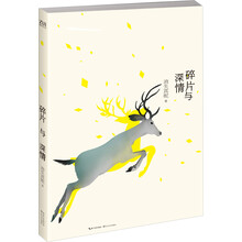 碎片与深情