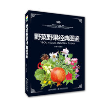 野菜野果经典图鉴