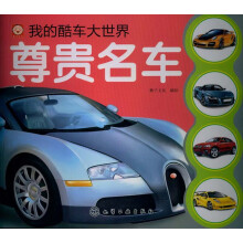 我的酷车大世界：尊贵名车
