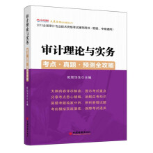 2013全国审计专业技术资格考试辅导用书（初级、中级通用）：审计理论与实务·考点·真题·预测全攻略