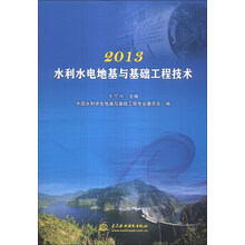 2013-水利水电地基与基础工程技术