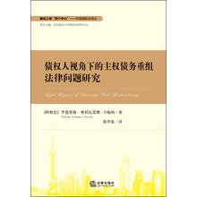 华政国际法译丛：债权人视角下的主权债务重组法律问题研究
