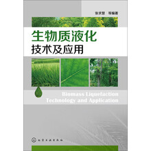 生物质液化技术及应用
